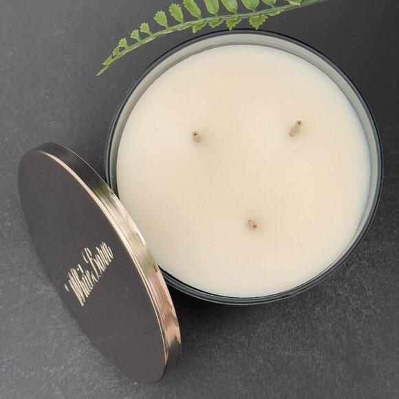 BBW Eucalyptus Rain White Barn Bath & Body Works 3 Wick Candle - Picture 6 of 10